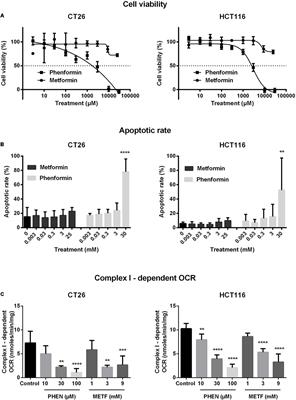 Antidiabetic Biguanides <mark class="highlighted">Radiosensitize</mark> Hypoxic Colorectal Cancer Cells Through a Decrease in Oxygen Consumption